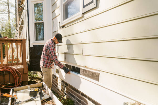 Trusted Siding Contractor service in Cologne, MN - Creative Siding